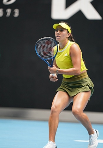 理强度和执 理强度和执