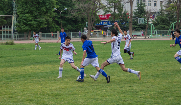 员票选活动 员票选活动