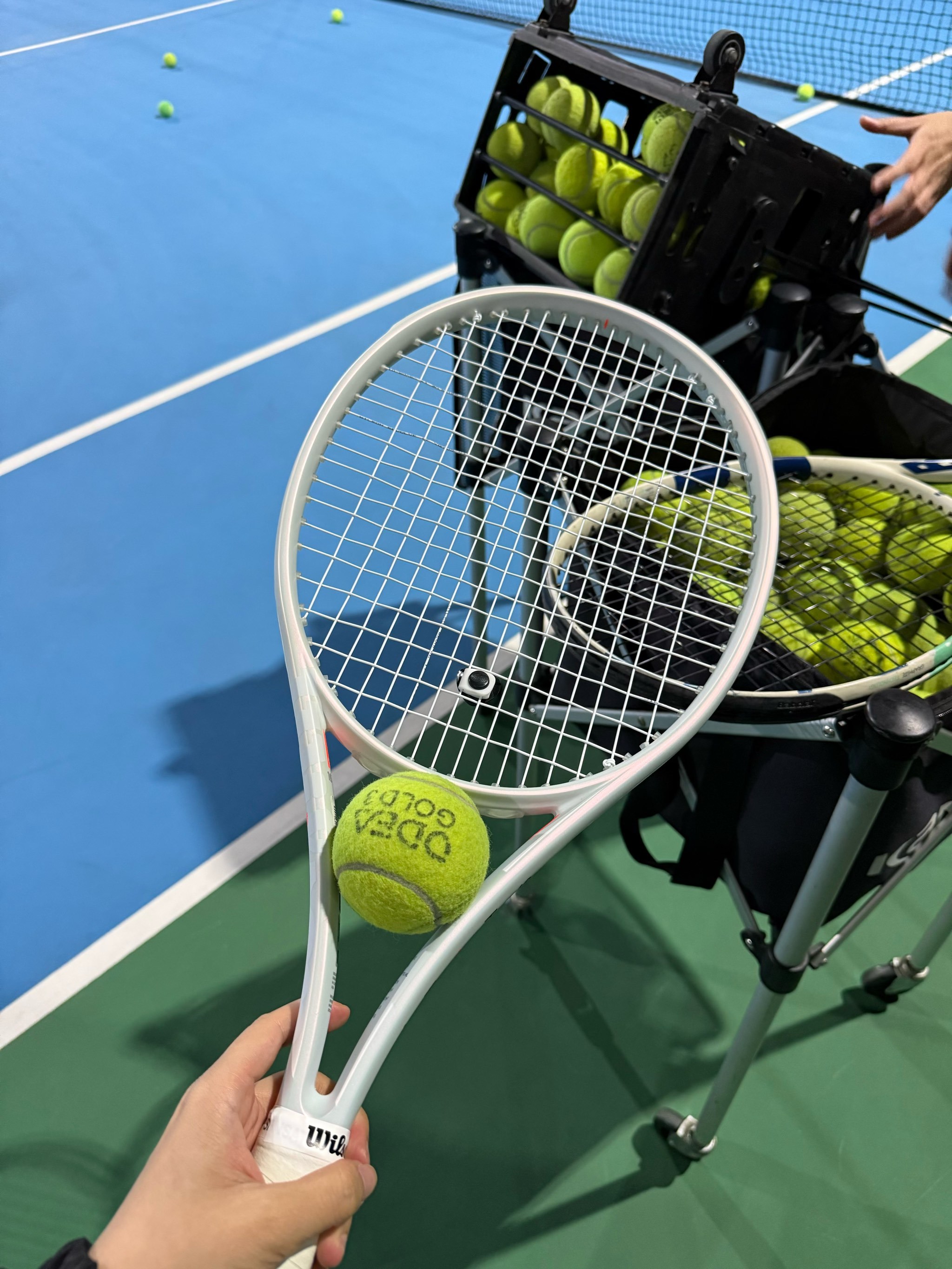 尽管选手们 尽管选手们