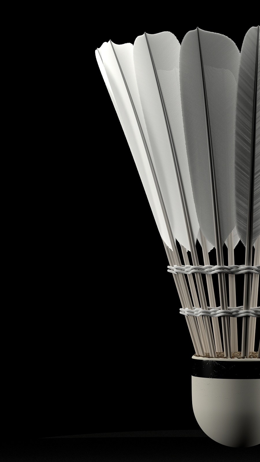 后防中坚 后防中坚